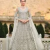 Senhora Anokhi Pure Butterfly Net Designer Heavy Work Suits