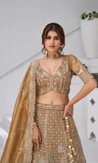 ELEGANT ORGANZA TISSUE LEHENGA CHOLI