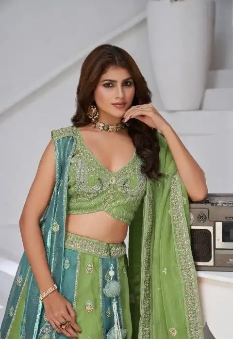 BEAUTIFUL GEORGETTE TISSUE LEHENGA CHOLI-1 - Image 13