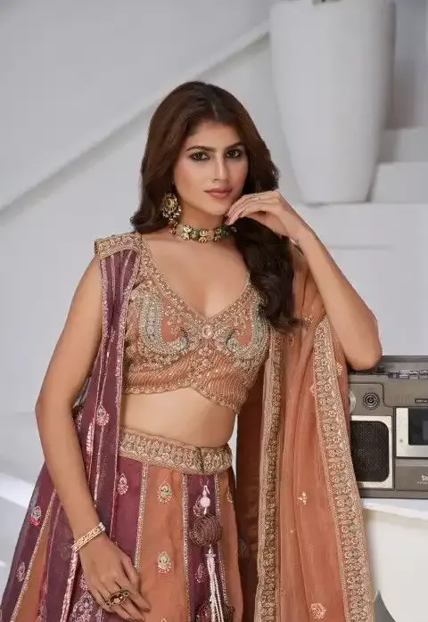 BEAUTIFUL GEORGETTE TISSUE LEHENGA CHOLI-1