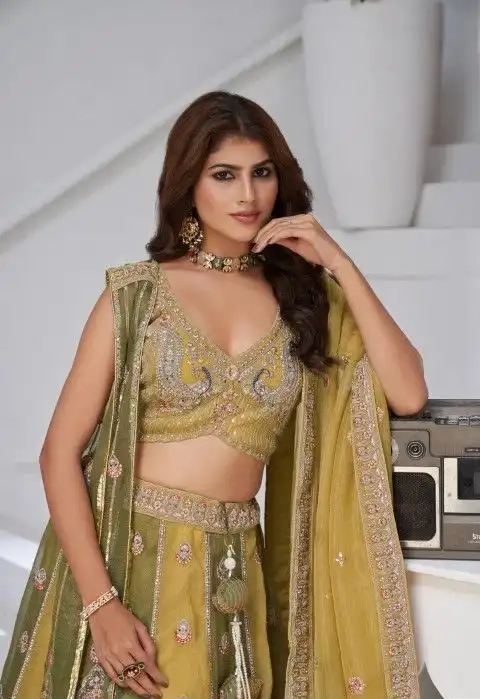 BEAUTIFUL GEORGETTE TISSUE LEHENGA CHOLI-1 - Image 5
