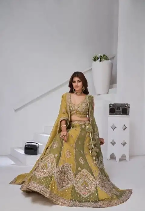 BEAUTIFUL GEORGETTE TISSUE LEHENGA CHOLI-1 - Image 2